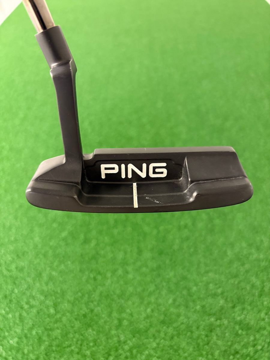 Ping Anser (2021) (33")