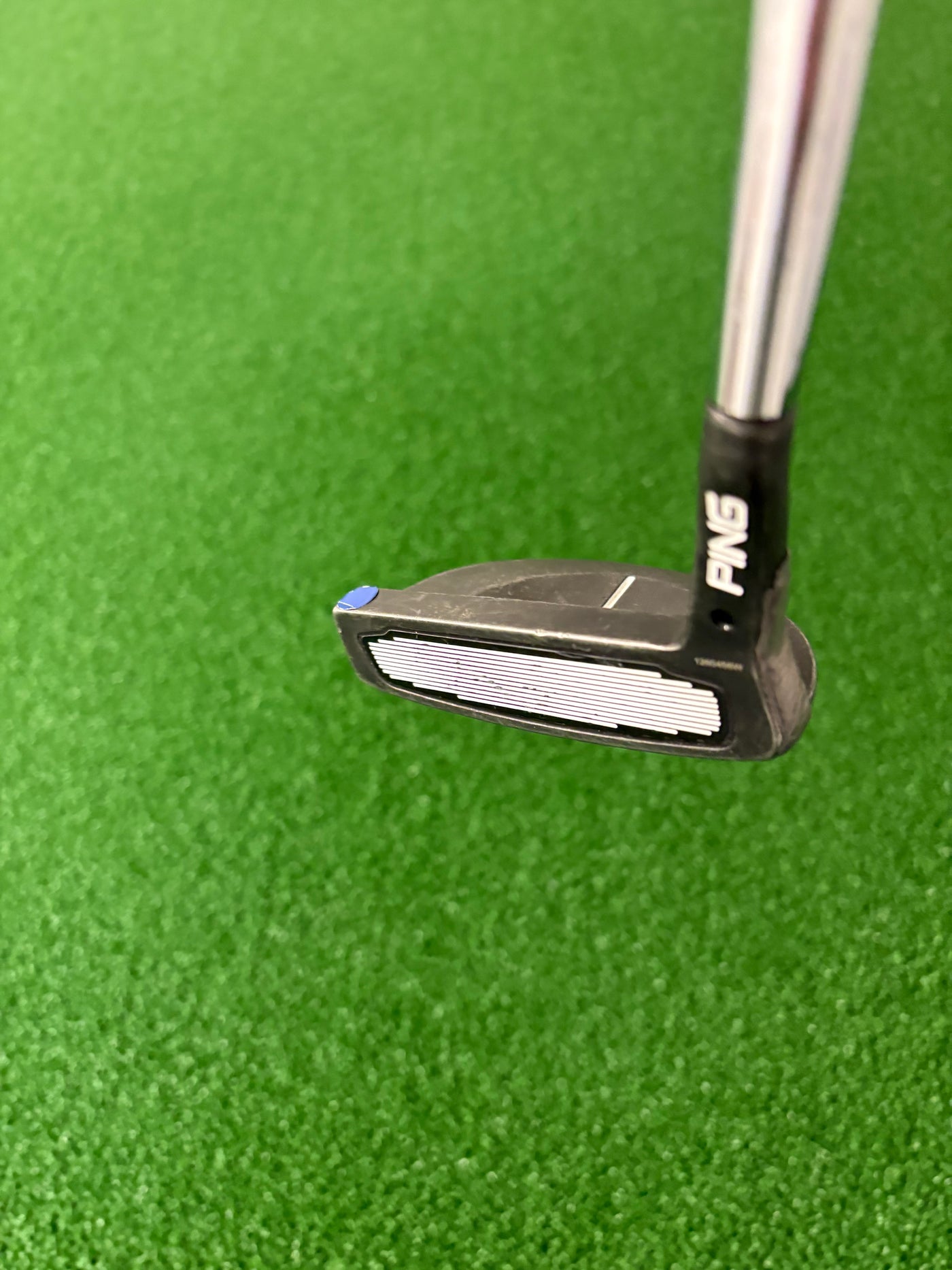Ping Scottsdale TR Shea H (33")