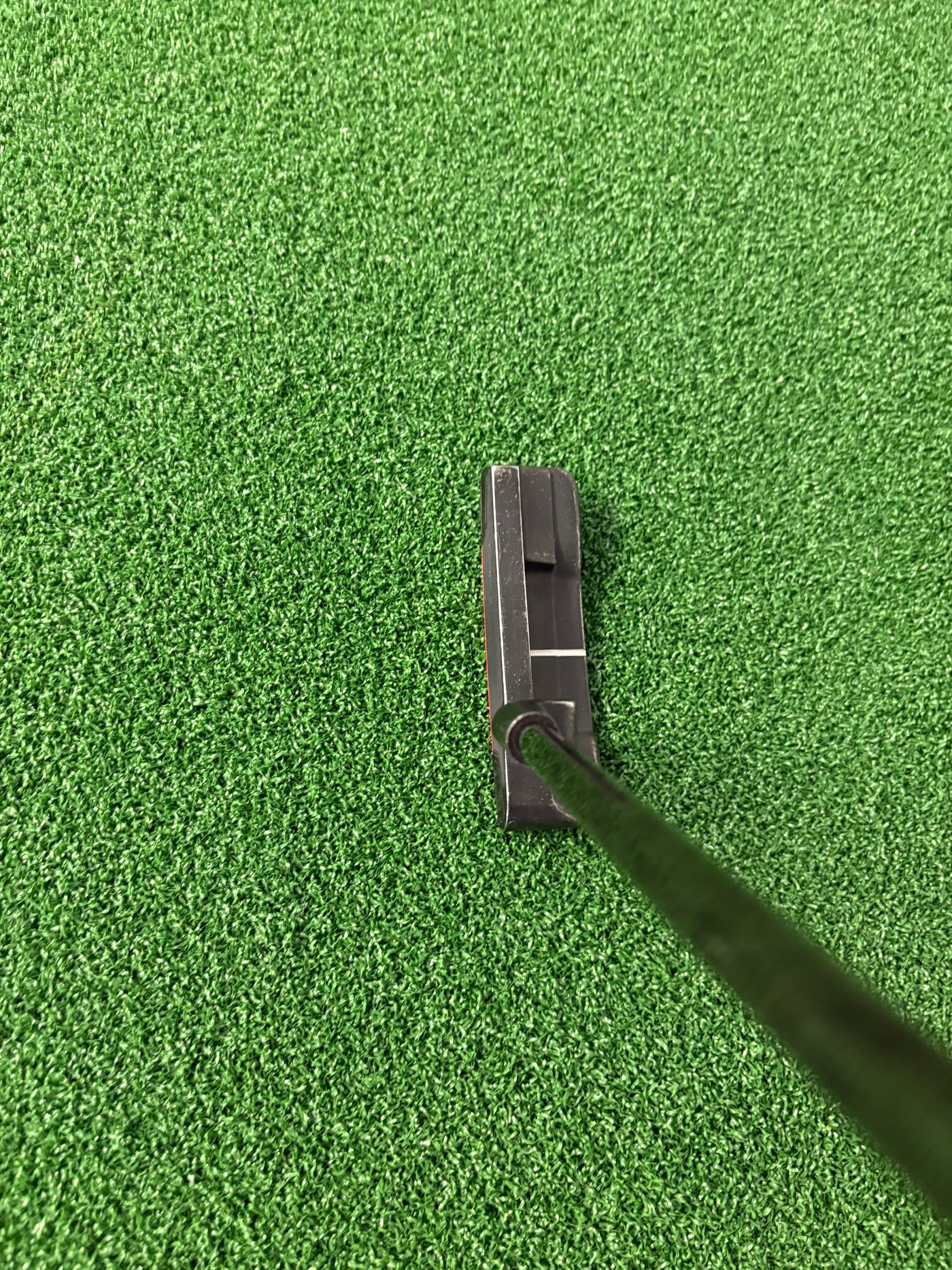 Ping Anser (2021) (34")