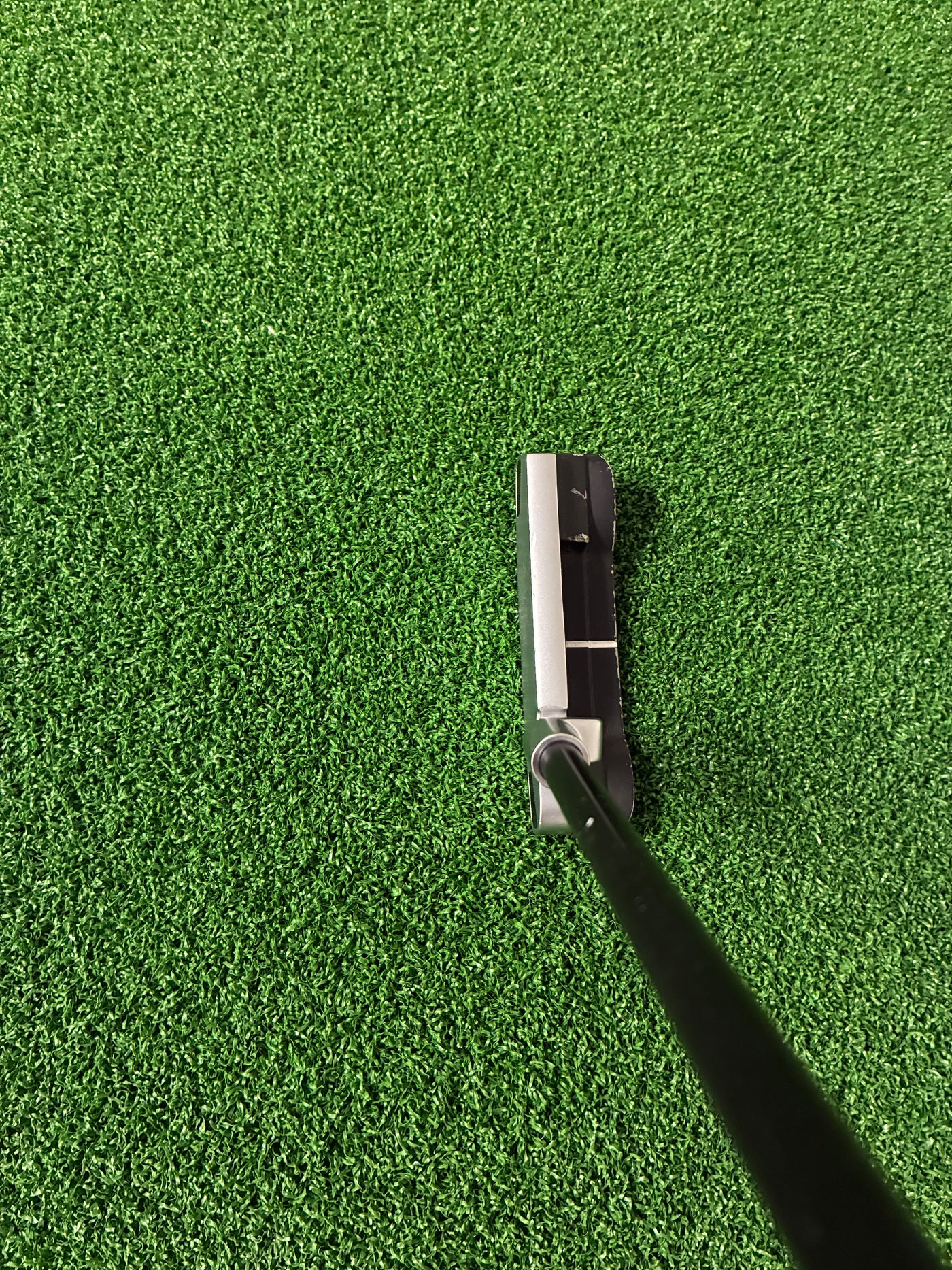 Ping Anser (2023) (34")
