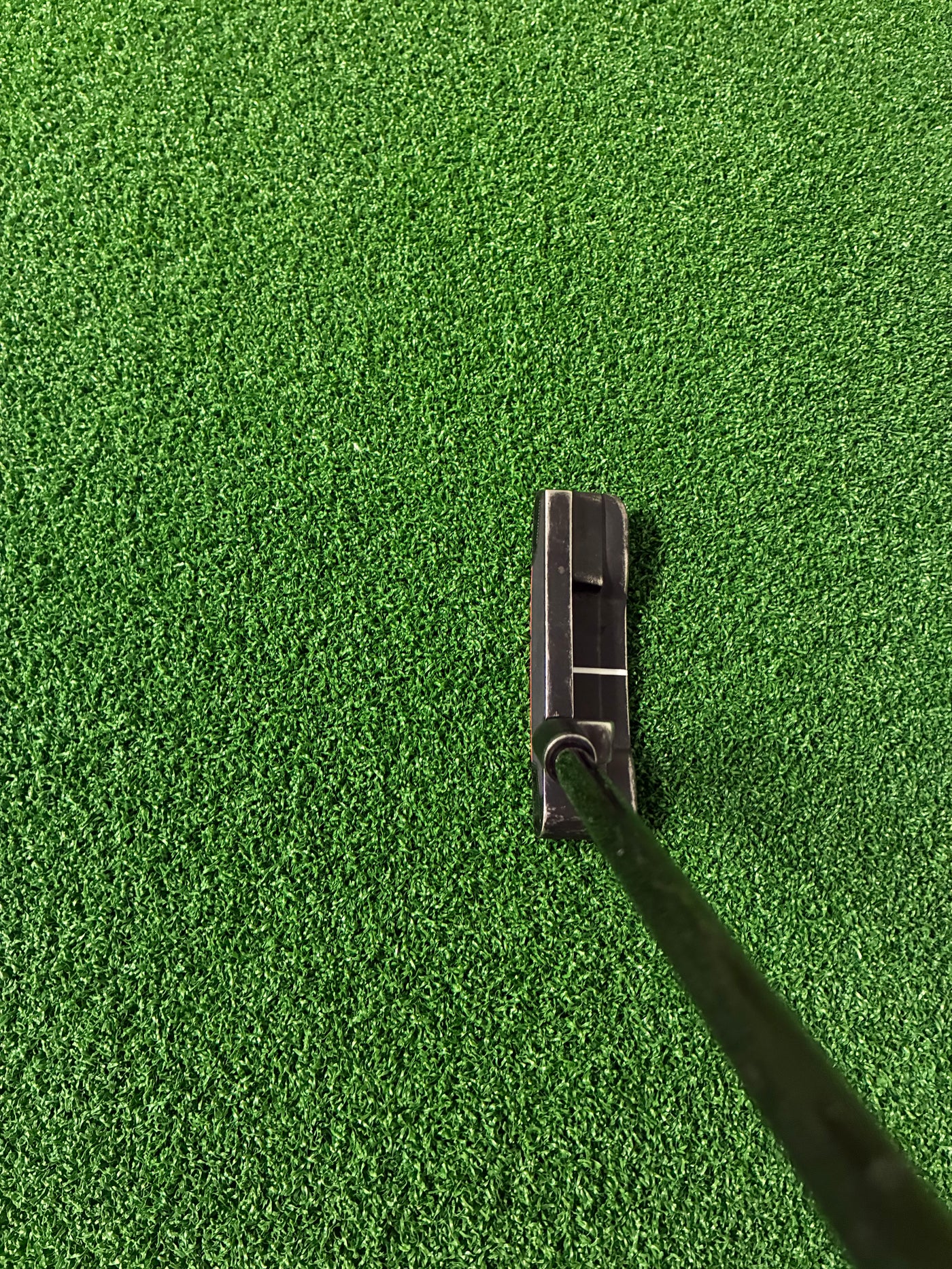 Ping Anser (2021) (34")