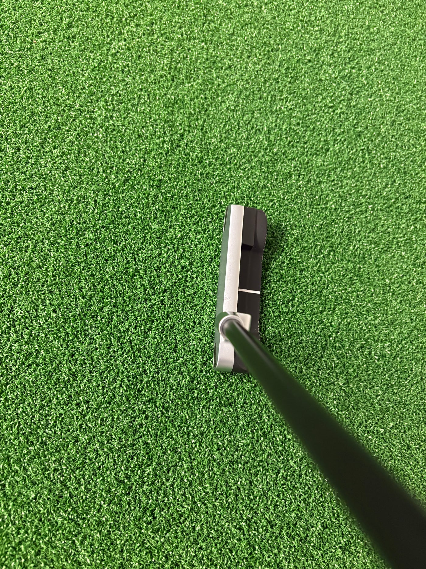 Ping Anser (2023) (34")