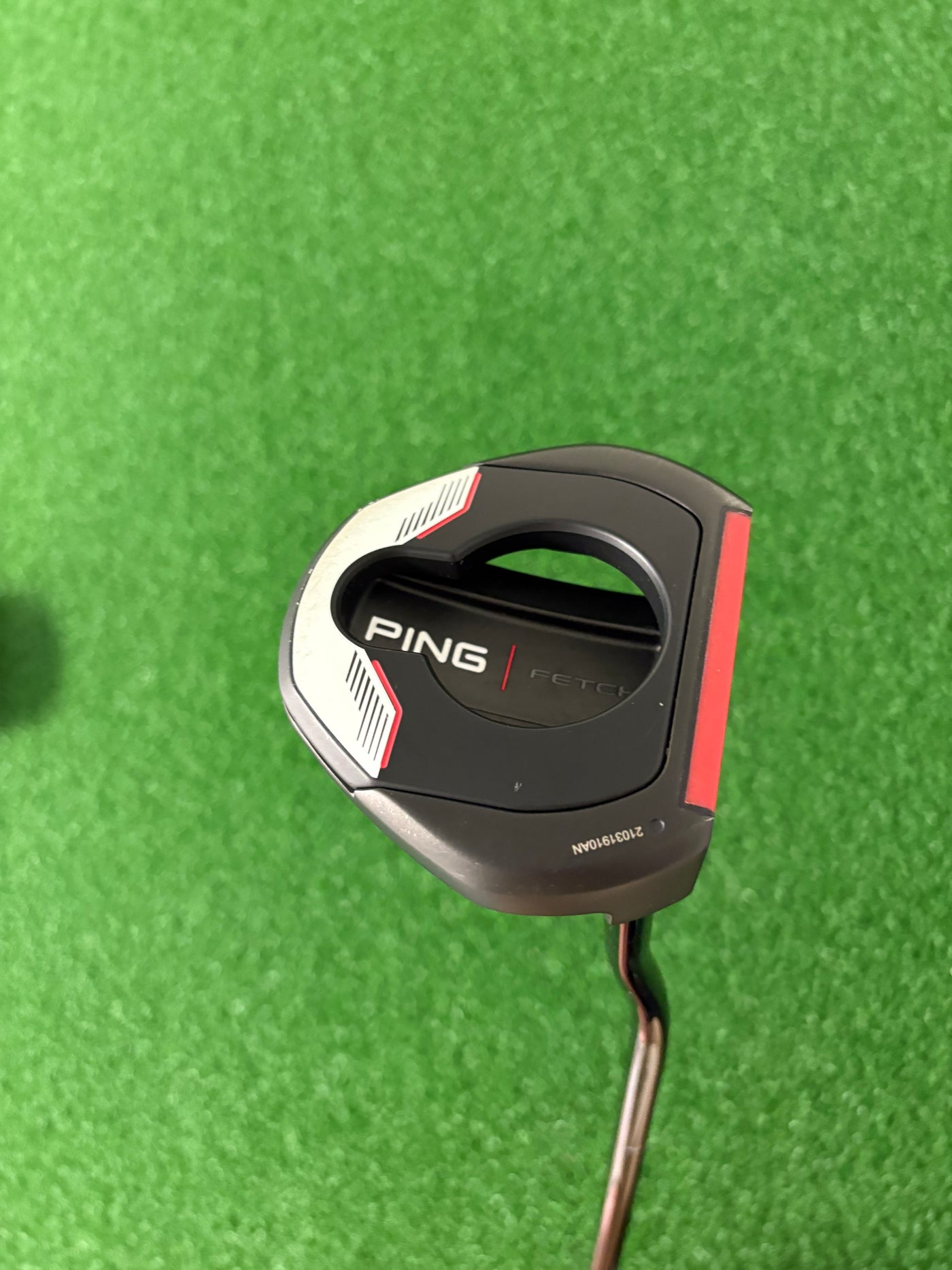 Ping Fetch (2021) (34")