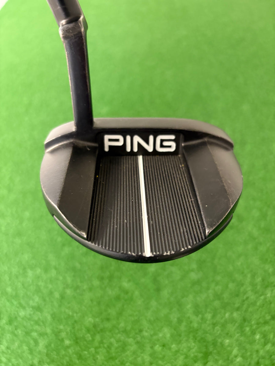 Ping Oslo H (2021) (34")