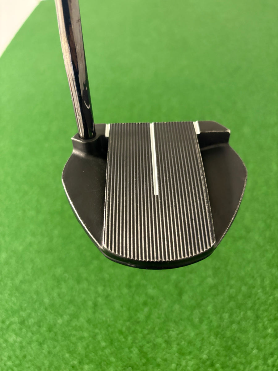 Ping Fetch (2021) (34")